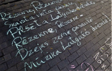 foto zibakcijai brugaststs