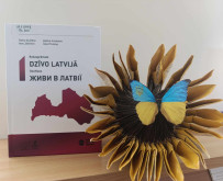 16113f19 d82f 46a2 a77b ced7c8aa1bc9